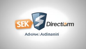 Plesk או DirectAdmin